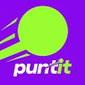 Puntit Logo